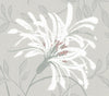 Fairhaven Grey