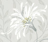Fairhaven Grey