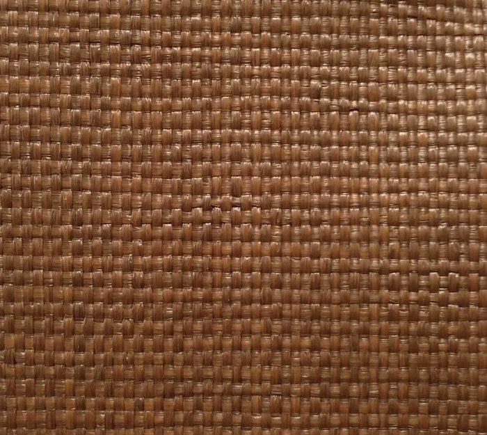 Fiesta - Palmfrond Wallcovering | Phillipe Romano