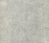 Vibrant Wallcovering | Phillipe Romano