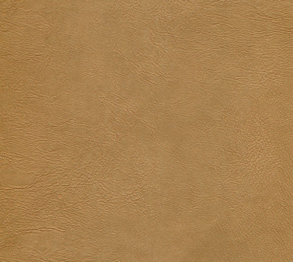Vibrant - Radiance | Commercial Fabric | Los Angeles Fabrics