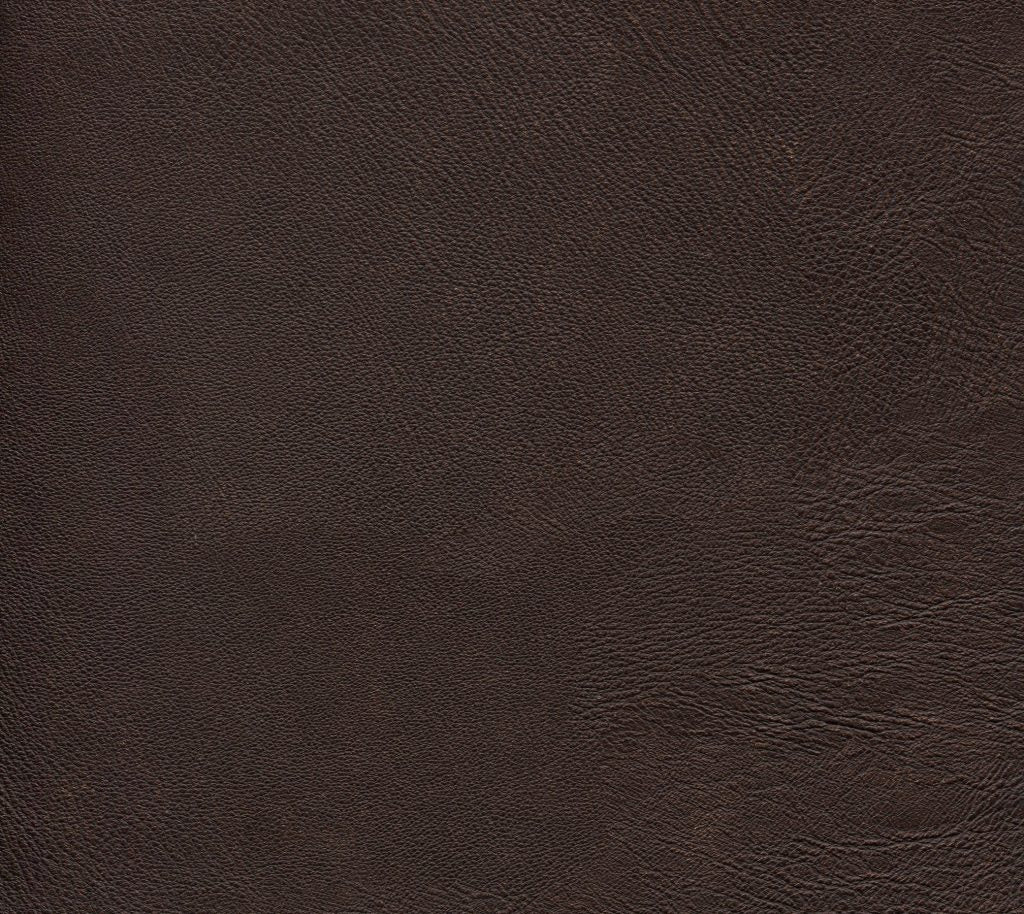 Vibrant - Mustang Wallcovering | Phillipe Romano