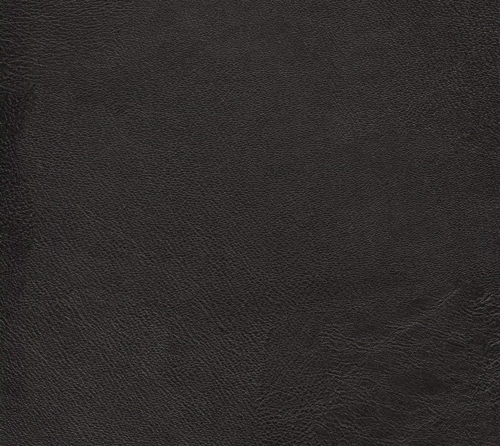 Vibrant - Umbra Wallcovering | Phillipe Romano