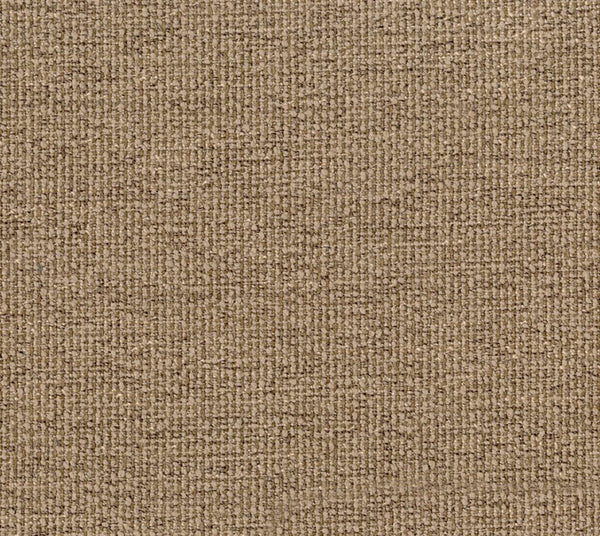 Joyful - Wilderness | Commercial Fabric | Los Angeles Fabrics