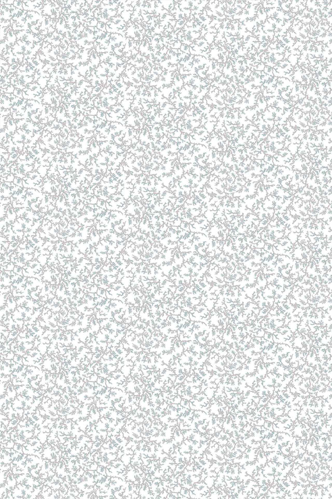 Fine Coral