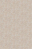 Fine Coral Sand Lark