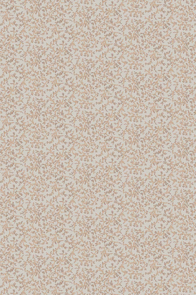 Fine Coral Sand Lark