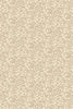 Fine Coral Sandtan