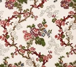 Fleurs de Pommiers, Multi Creme