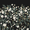 Florella, Sample Type II Vinyl