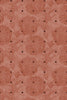 Fresco Vermillion
