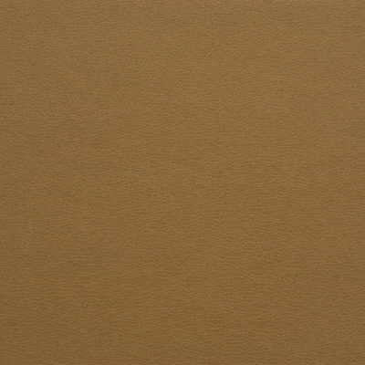 Samples and Purchasing available for Kravet Design - Galleon-16 Beige By Kravet Design |  |Solid Texture Upholstery Vinyl/Faux Leather at Designer Wallcoverings and Fabrics