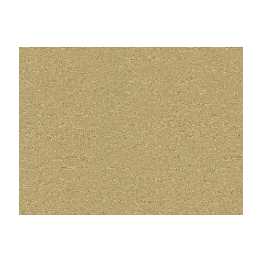 Samples and Purchasing available for Kravet Design - Garoua-16 Beige By Kravet Design |  |Solid Texture Upholstery Vinyl/Faux Leather at Designer Wallcoverings and Fabrics