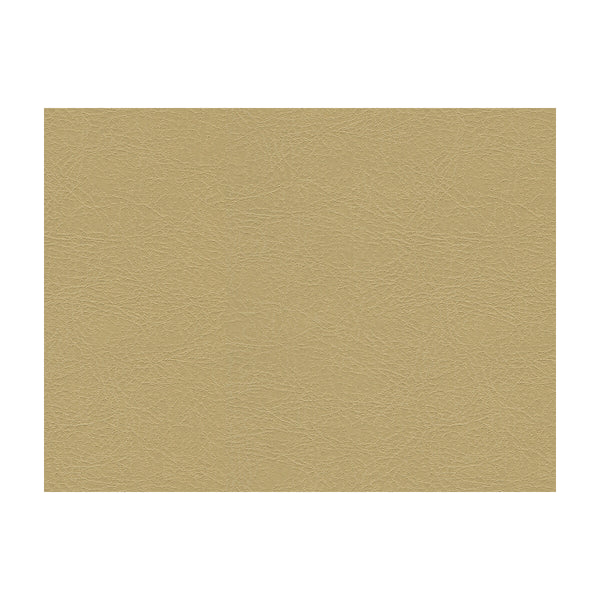 Samples and Purchasing available for Kravet Design - Garoua-16 Beige By Kravet Design |  |Solid Texture Upholstery Vinyl/Faux Leather at Designer Wallcoverings and Fabrics