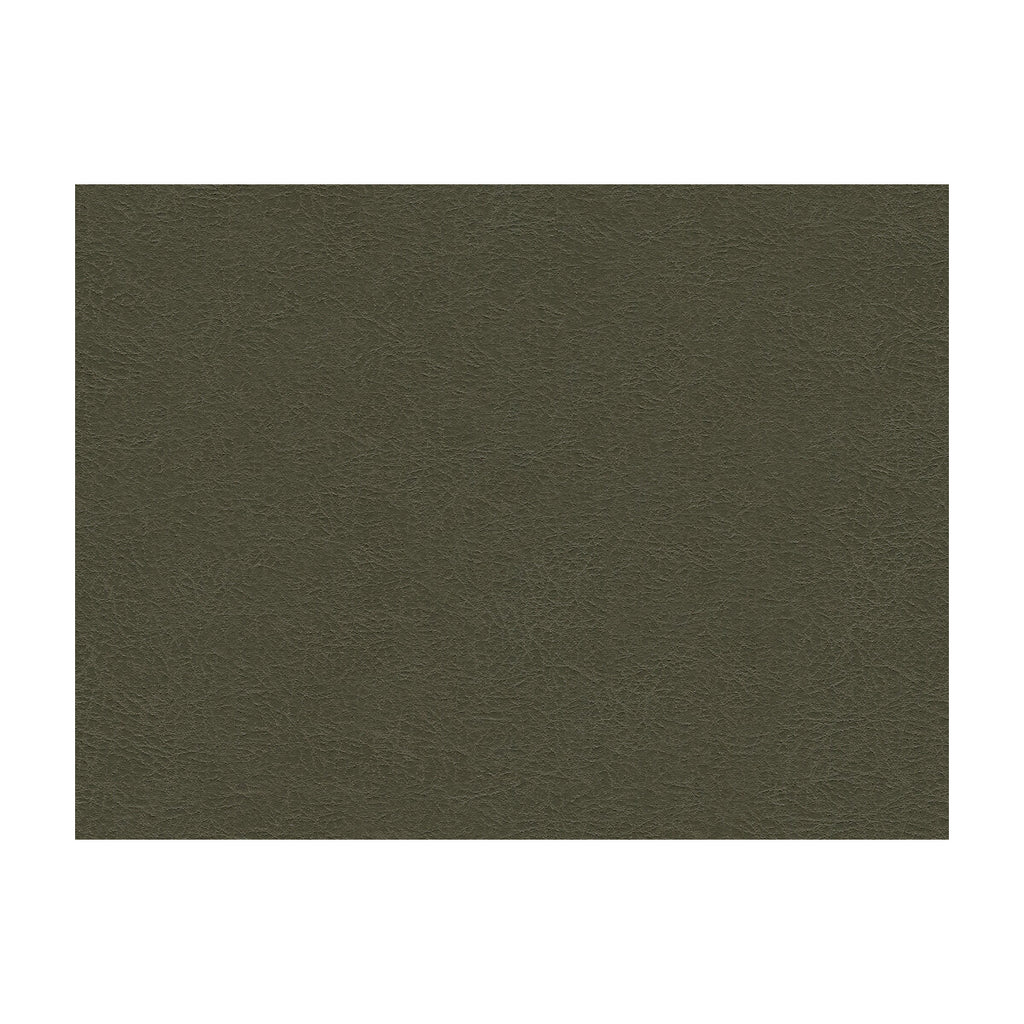 Samples and Purchasing available for Kravet Design - Garoua-21 Grey By Kravet Design | Ultraleather Plus Iv |Solid Texture Upholstery Vinyl/Faux Leather at Designer Wallcoverings and Fabrics