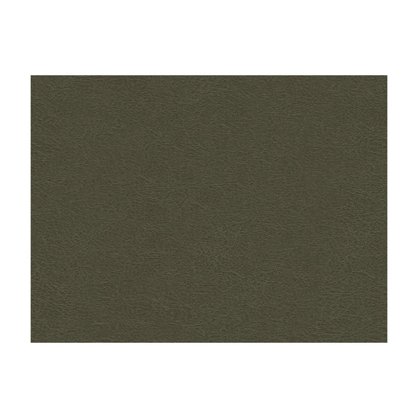 Samples and Purchasing available for Kravet Design - Garoua-21 Grey By Kravet Design | Ultraleather Plus Iv |Solid Texture Upholstery Vinyl/Faux Leather at Designer Wallcoverings and Fabrics