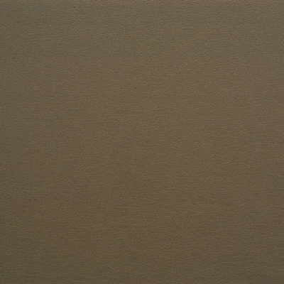 Samples and Purchasing available for Kravet Design - Gato-621 Brown By Kravet Design |  |Solid Texture Upholstery Vinyl/Faux Leather at Designer Wallcoverings and Fabrics
