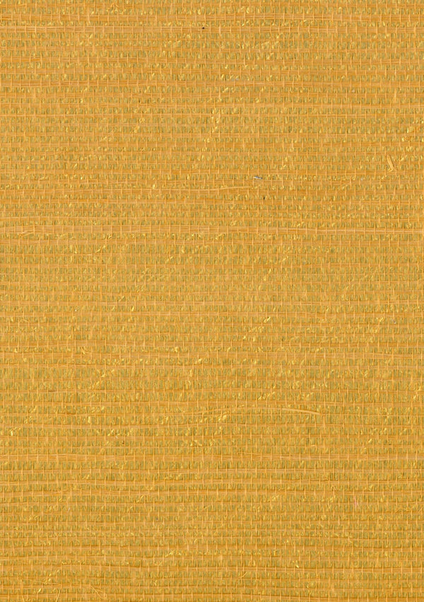 Polignano Amber | Fentucci Naturals