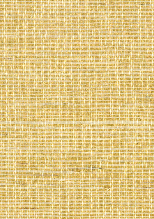 Polignano Amber II | Fentucci Naturals