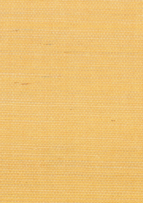 Polignano Amber III | Fentucci Naturals