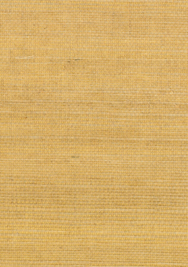 Polignano Amber IV | Fentucci Naturals