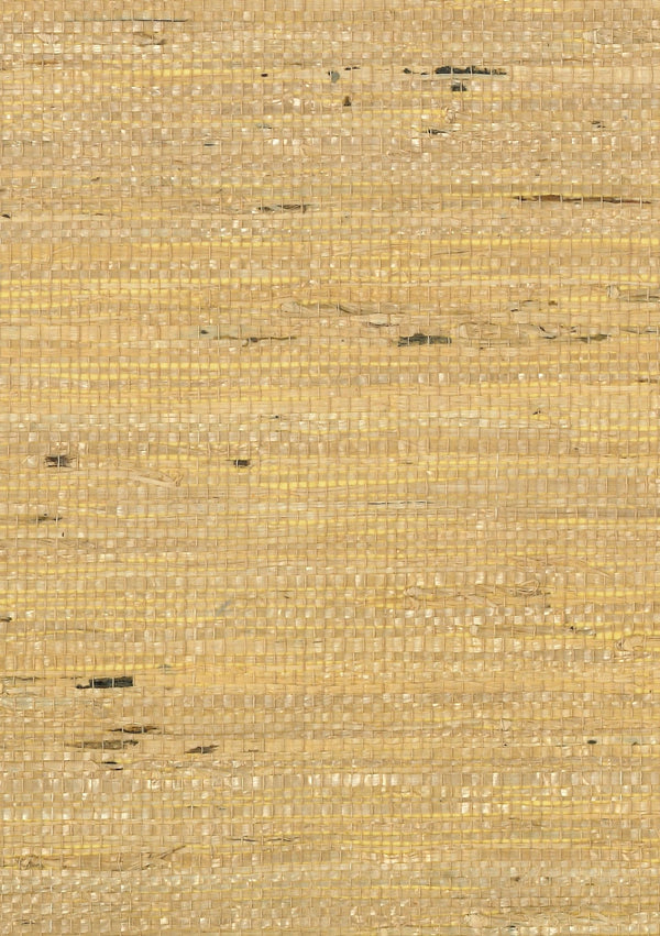 Varazze Amber | Fentucci Naturals