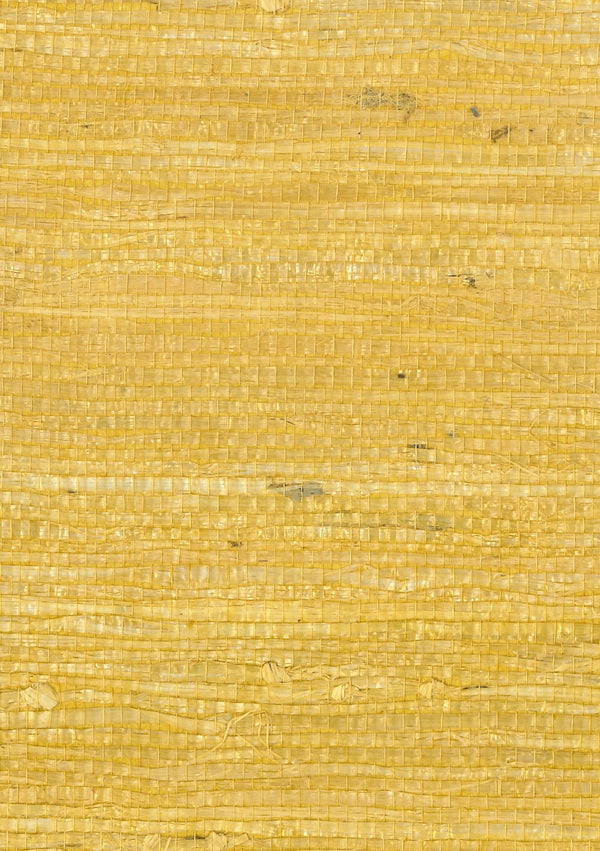 Varazze Amber V | Fentucci Naturals