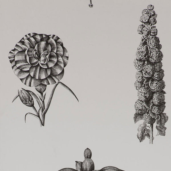 Guayana - Onyx  By Gaston Y Daniela |  |Botanical & Floral  Wallcovering Print