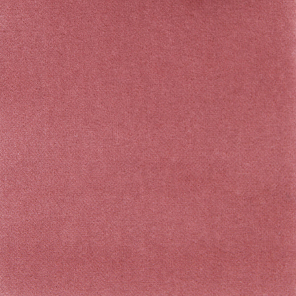 Venecia - Rosa Palo Pink By Gaston Y Daniela | Basics |Solid  Upholstery Velvet