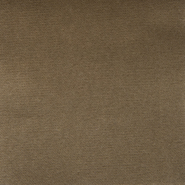 Venecia - Vison Taupe By Gaston Y Daniela | Basics |Solid  Upholstery Velvet