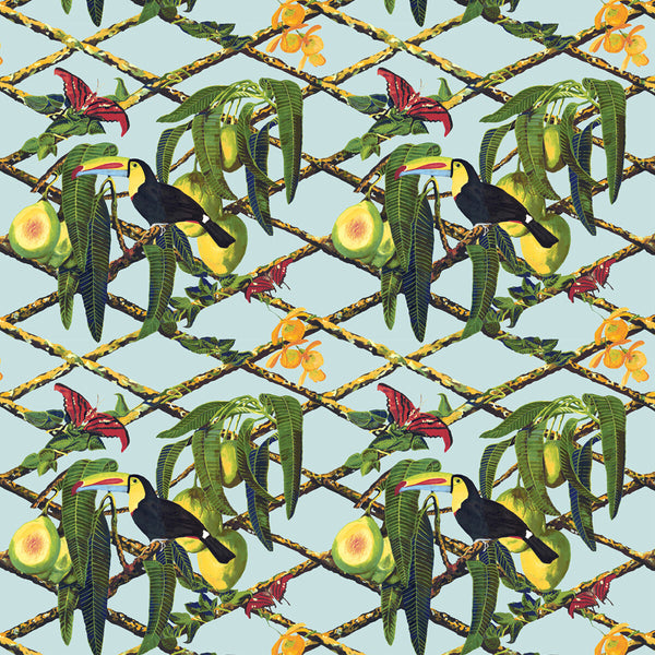Tucan - Original Light Green By Gaston Y Daniela | Gaston Libreria |Animal/Insects Tropical Multipurpose Print