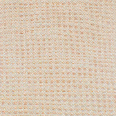 Samples and Purchasing available for Peru - Crudo Beige By Gaston Y Daniela | Gaston Nuevo Mundo | Solid Multipurpose  at Designer Wallcoverings and Fabrics