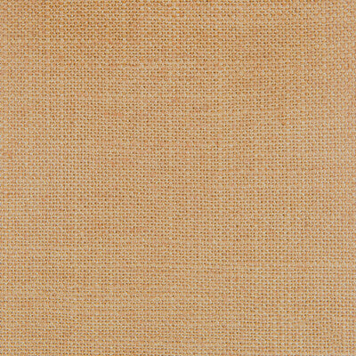 Peru - Camel Camel By Gaston Y Daniela | Gaston Nuevo Mundo | Solid Multipurpose