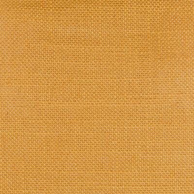 Samples and Purchasing available for Peru - Albero Gold By Gaston Y Daniela | Gaston Nuevo Mundo | Solid Multipurpose  at Designer Wallcoverings and Fabrics