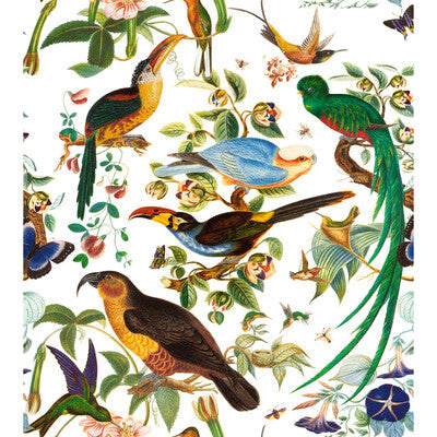 Oaxaca - Blanco White By Gaston Y Daniela | Gaston Nuevo Mundo |Animal/Insects Botanical & Floral Multipurpose Print