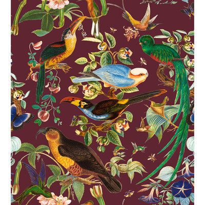 Oaxaca - Berenjena Burgundy By Gaston Y Daniela | Gaston Nuevo Mundo |Animal/Insects Botanical & Floral Multipurpose Print