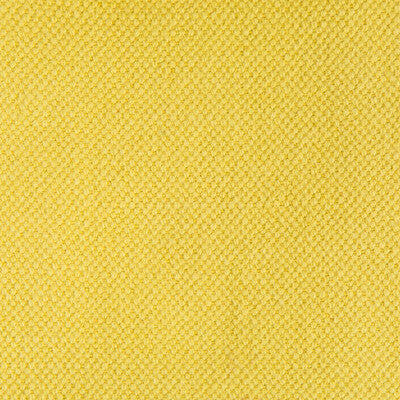 Lima - Verde Lima Yellow By Gaston Y Daniela | Gaston Nuevo Mundo |Solid Texture Upholstery Linen