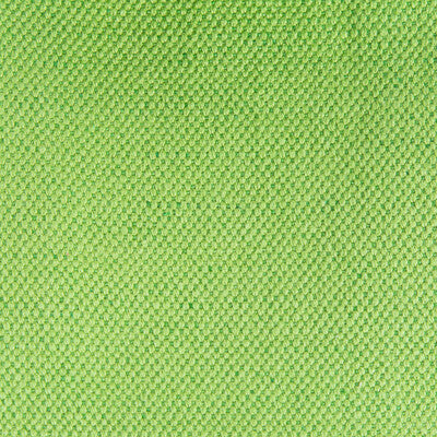 Lima - Verde Claro Green By Gaston Y Daniela | Gaston Nuevo Mundo |Solid Texture Upholstery Linen