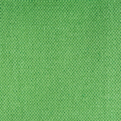 Lima - Verde Green By Gaston Y Daniela | Gaston Nuevo Mundo |Solid Texture Upholstery Linen