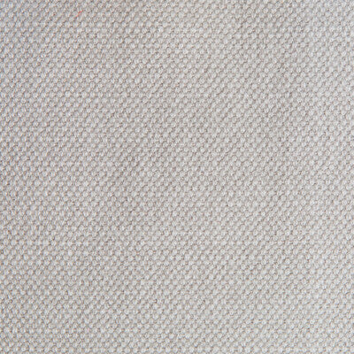 Lima - Gris Grey By Gaston Y Daniela | Gaston Nuevo Mundo |Solid Texture Upholstery Linen
