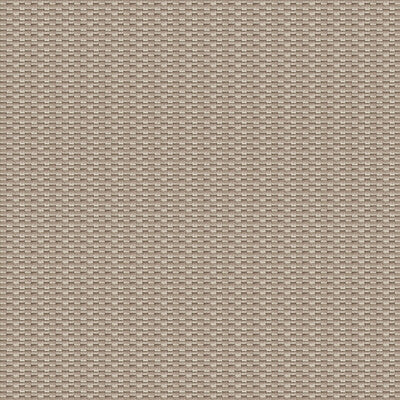 Samples and Purchasing available for Isamu - Tostado Beige By Gaston Y Daniela | Gaston Japon |Solid Texture Upholstery  at Designer Wallcoverings and Fabrics