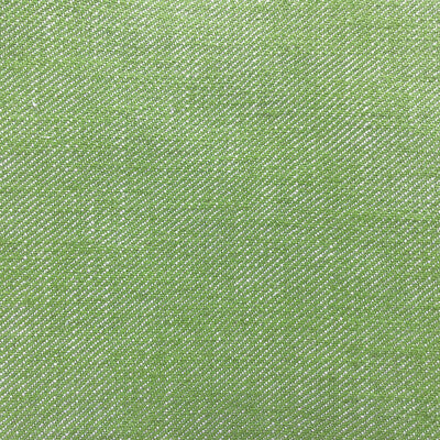 Hisa - Verde Claro Green By Gaston Y Daniela | Gaston Japon |Solid Texture Upholstery