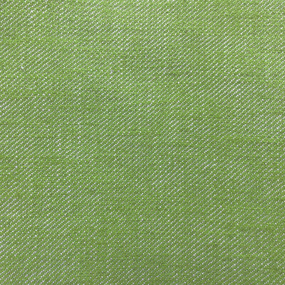Hisa - Verde Manzana Green By Gaston Y Daniela | Gaston Japon |Solid Texture Upholstery