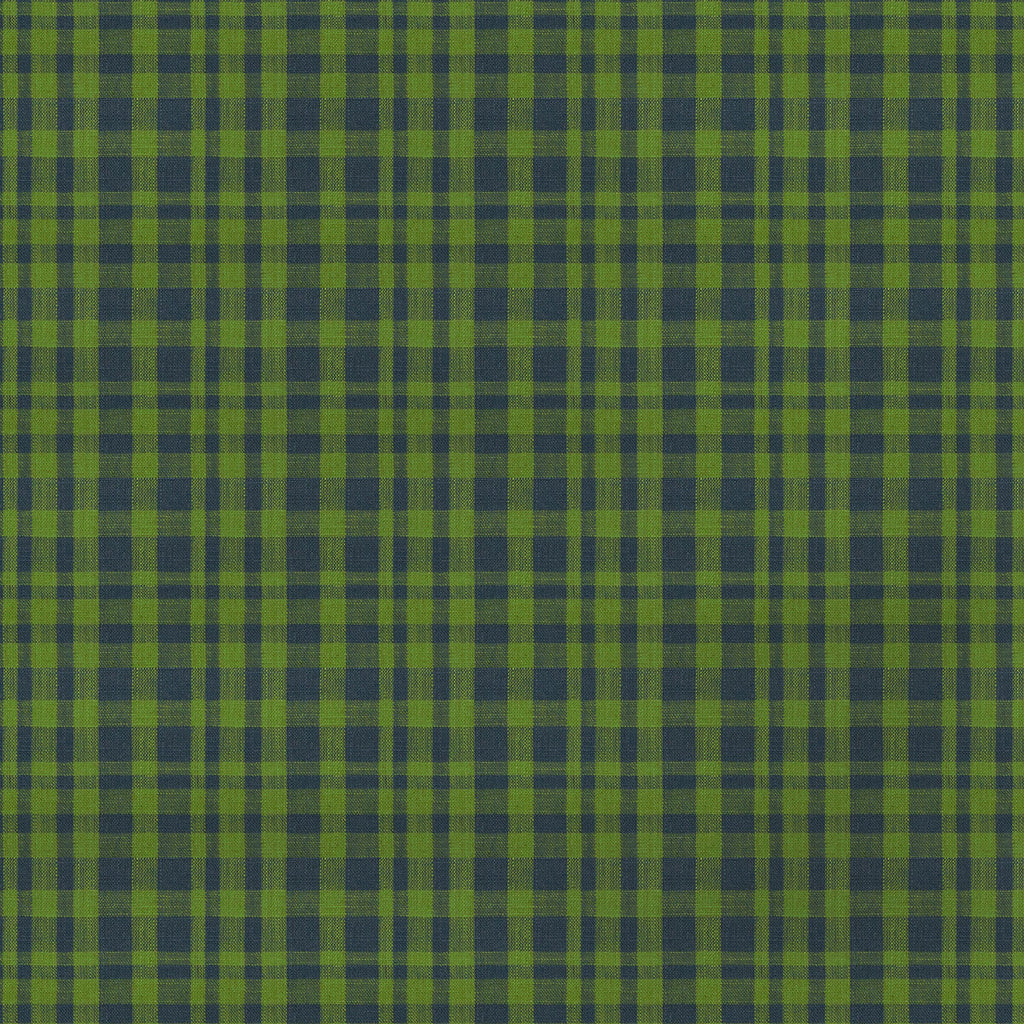Samples and Purchasing available for Drach - Verde/Azul Green By Gaston Y Daniela | Gaston Maiorica |Check/Houndstooth Geometric Upholstery  at Designer Wallcoverings and Fabrics