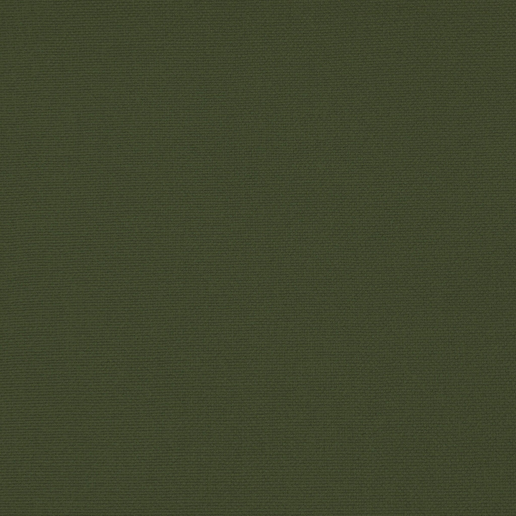 Samples and Purchasing available for Palma - Eucalipto Green By Gaston Y Daniela | Gaston Maiorica |Solid  Upholstery  at Designer Wallcoverings and Fabrics