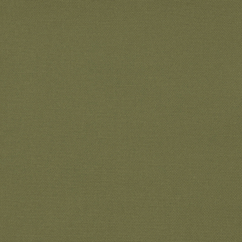 Samples and Purchasing available for Palma - Verde Alamo Green By Gaston Y Daniela | Gaston Maiorica |Solid  Upholstery  at Designer Wallcoverings and Fabrics