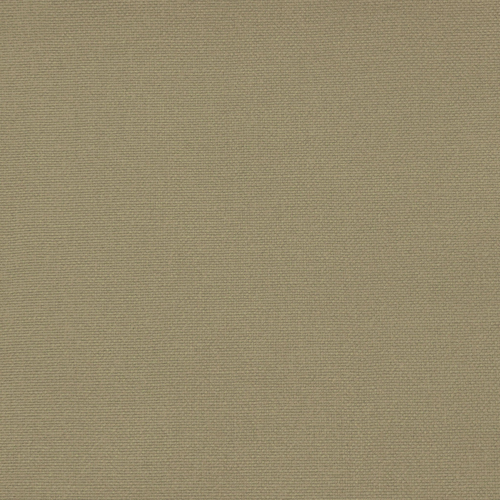 Samples and Purchasing available for Palma - Caracol Grey By Gaston Y Daniela | Gaston Maiorica |Solid  Upholstery  at Designer Wallcoverings and Fabrics