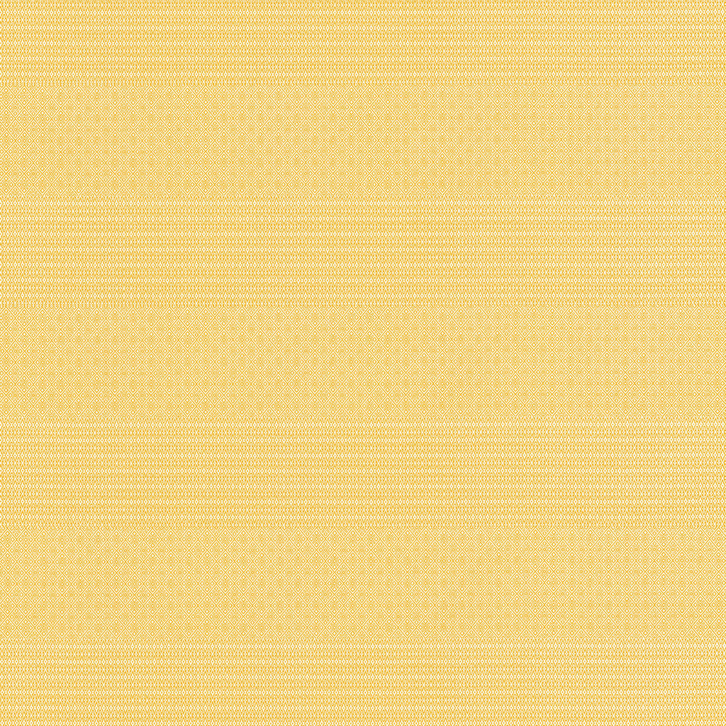 Samples and Purchasing available for Kailas - Paja Yellow By Gaston Y Daniela | Gaston Y Daniela Marco Polo Indoor/Outdoor |Geometric Stripes Upholstery Indoor / Outdoor at Designer Wallcoverings and Fabrics