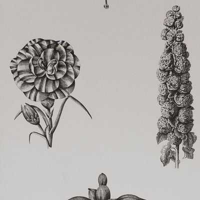 Guayana - Black By Gaston Y Daniela | Gaston Origen Dos |Botanical & Floral Wallcovering Print