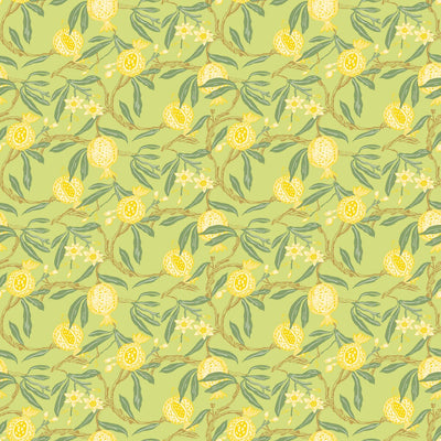 Granadas - Amarillo Sage By Gaston Y Daniela | Gaston Libreria |Botanical & Floral Vegetable/Fruit Wallcovering Print